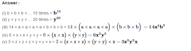 Algebraic Expressions RS Aggarwal Class 6 Maths Solutions Exercise 8A 3.1